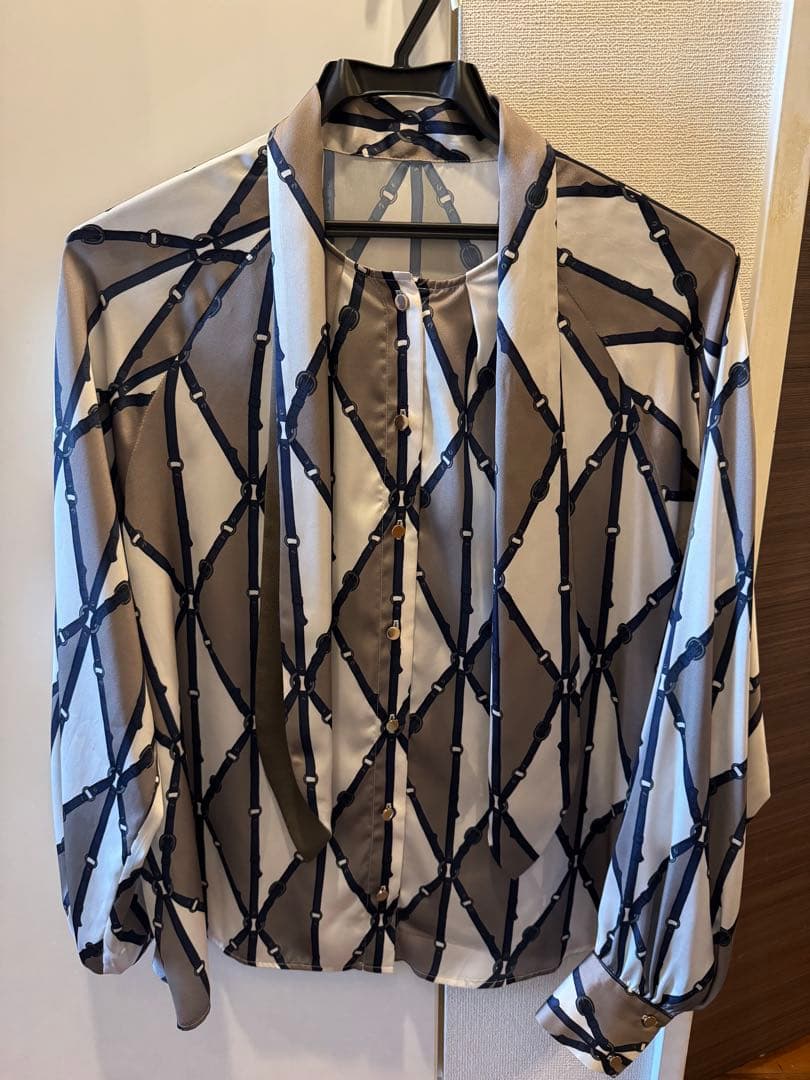 ☆超美品☆2025年秋冬ANAYIブラウス Eternal Line 2025】ジョーゼットカラミラッフル ブラウス （シャツ