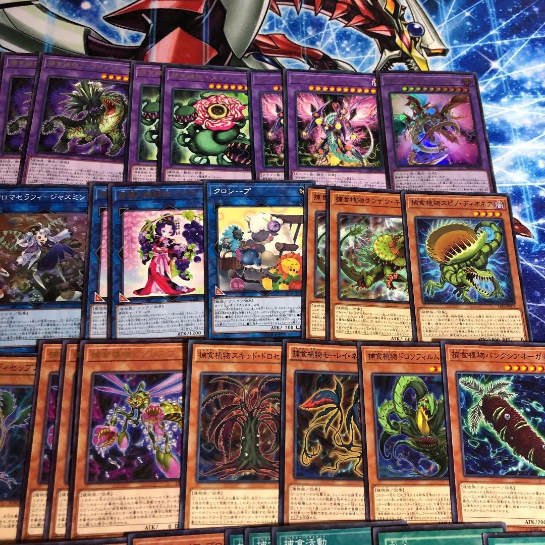 遊戯王 捕食植物デッキ EXデッキ付き ユーリデッキ - メルカリ