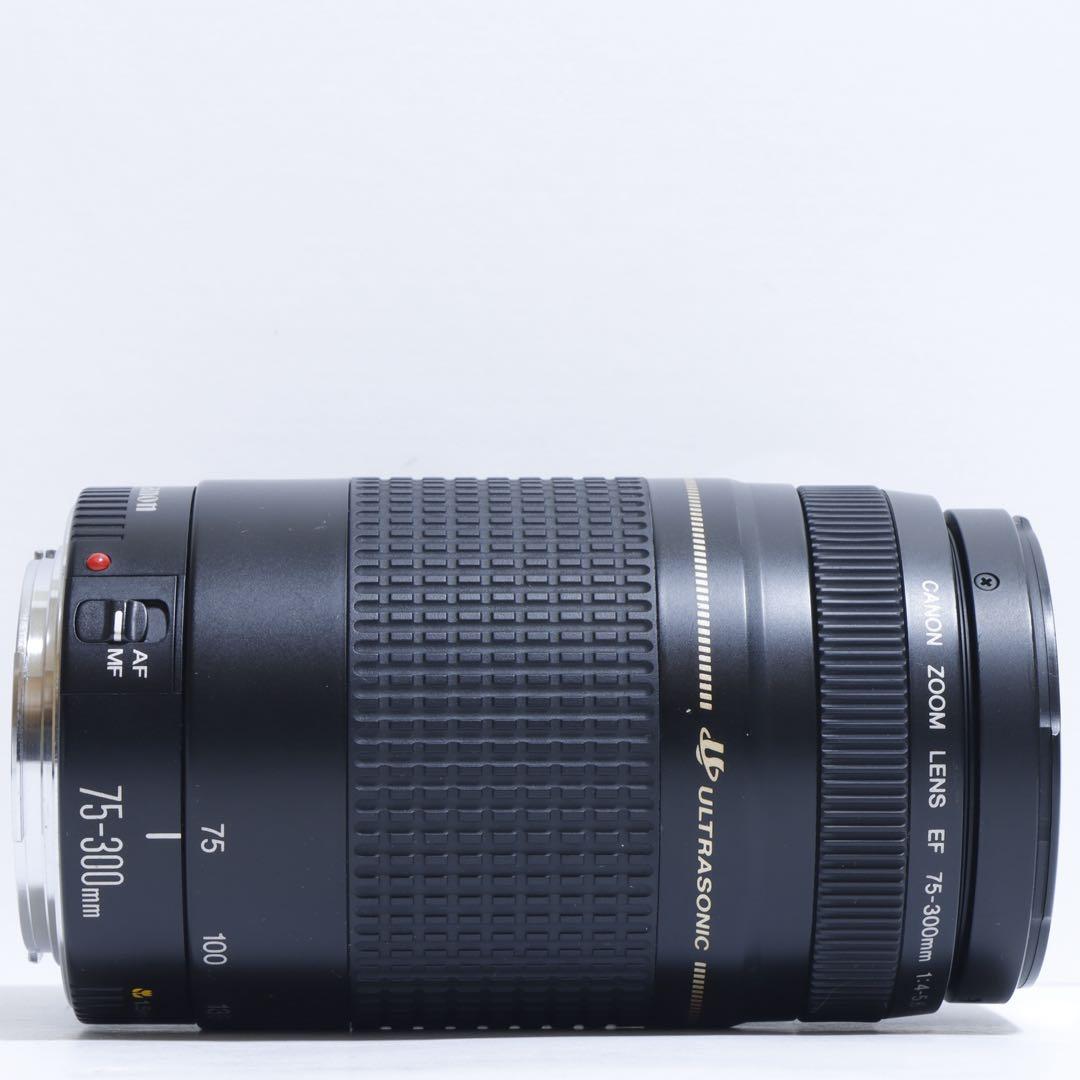 ◇超望遠&高速AF◇ Canon純正 75-300mm II型 望遠レンズ ◇ - メルカリ