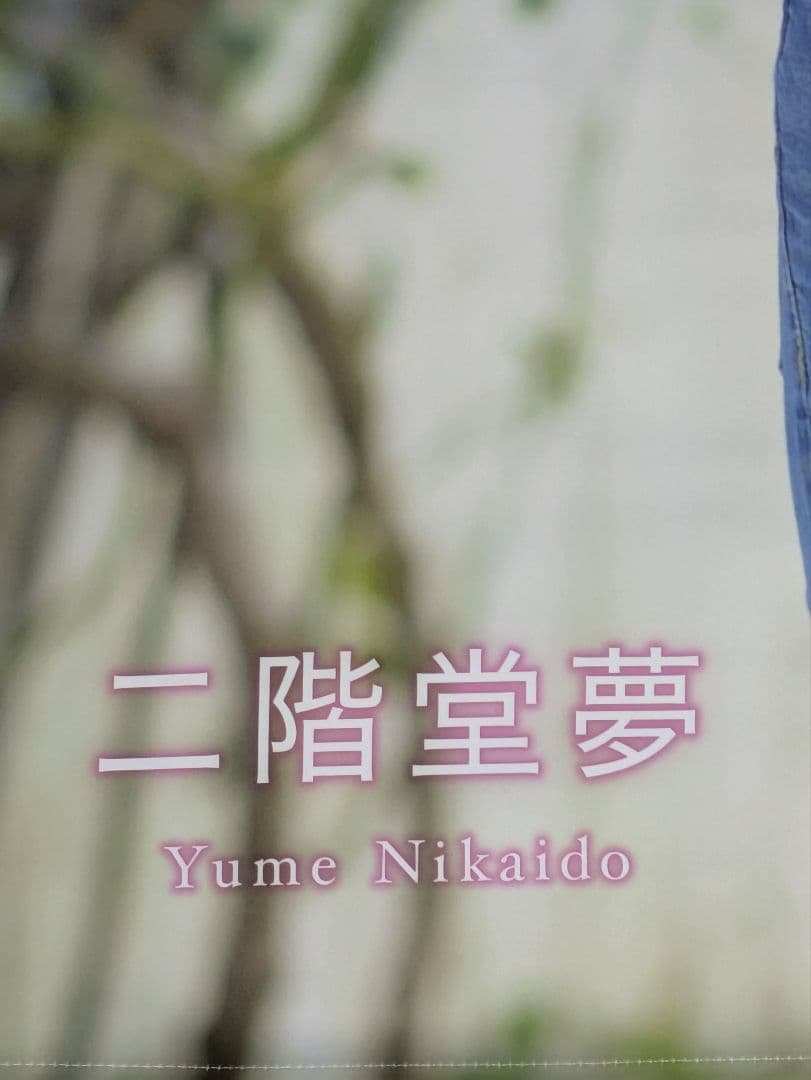 【激レアな一品】二階堂夢（本郷愛） タペストリー