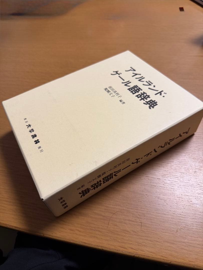 アイルランド・ゲール語辞典（値下げ交渉可）