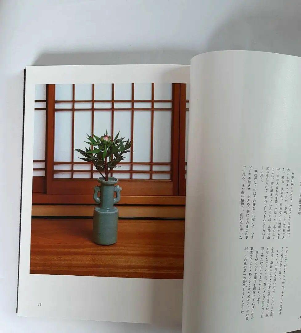 茶花入門 田中仙翁 主婦の友社