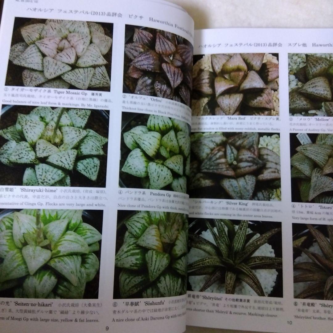 ハオルシア品種名総覧 = Total list of haworthia cu… - メルカリ