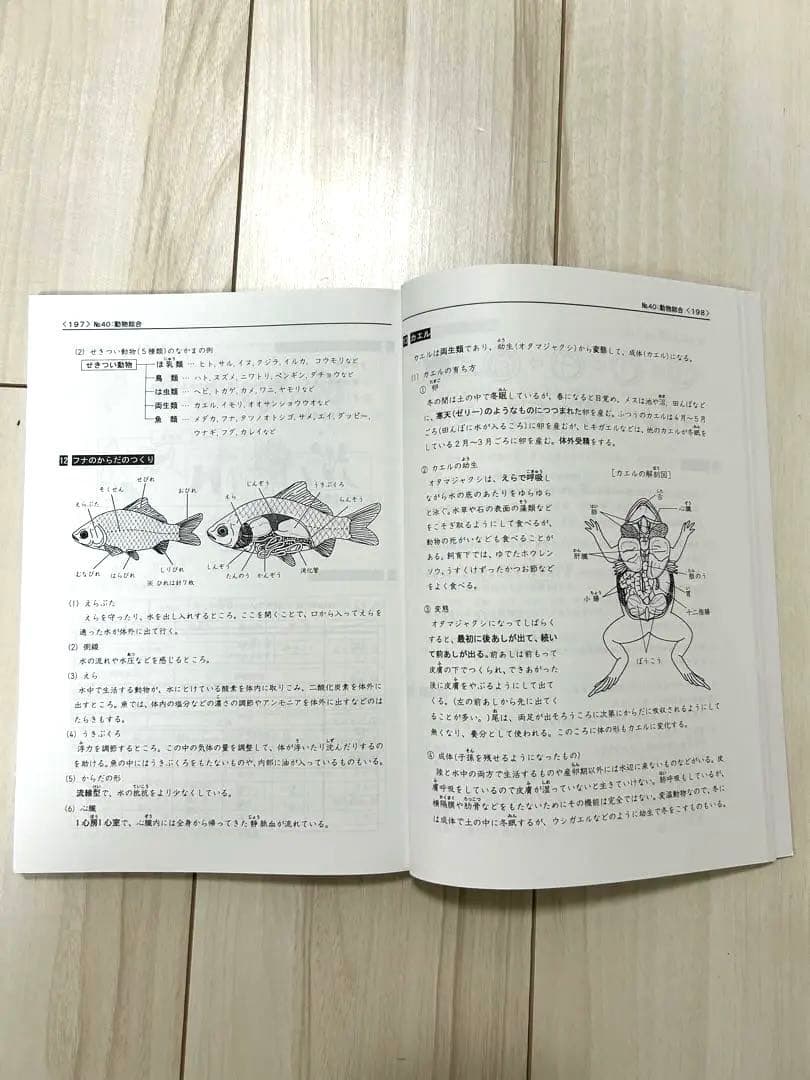 浜学園 理科 5年 6年 マスターコース ☆日能研関西生にもおすすめ