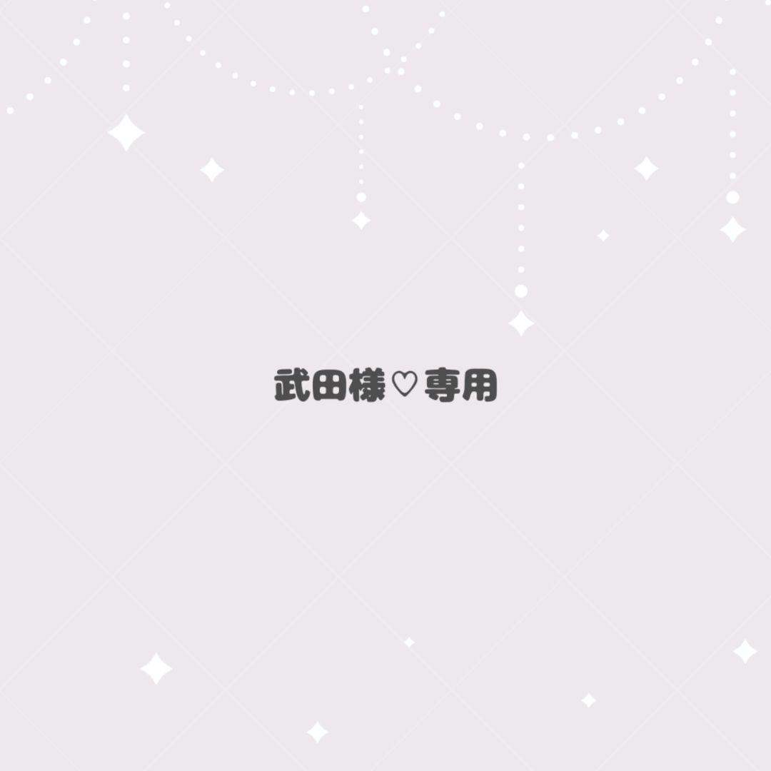 武田様♡専用 プラアクト11：武田極み鎧飾りVer. | PLUM WebShop