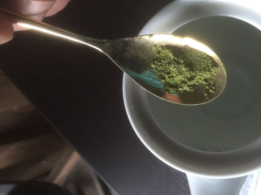 BTS様専用 無農薬栽培の粉末緑茶 100g×10個 健康長寿の