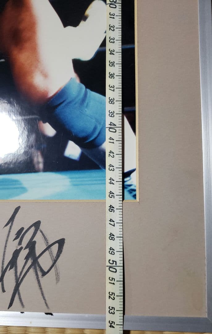 バ*ン様 高山善廣大森隆男写真パネルサイン付き - メルカリ