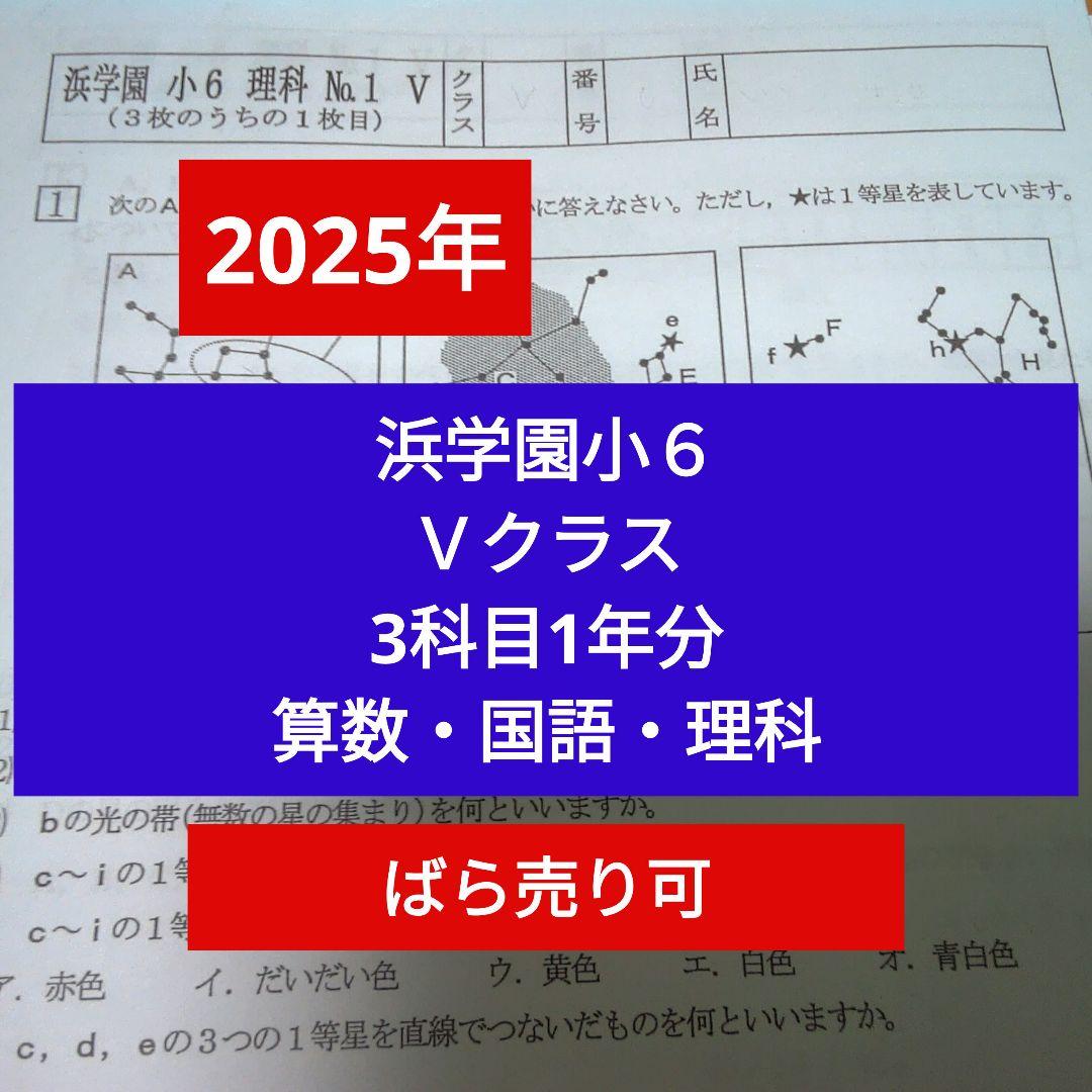 最新版2025年 浜学園小6 Vクラス 3科1年分 復習テスト 算国理 浜学園 小6 2025年 最新版 Vクラス 復習テスト 実力〜No.39 - メルカリ