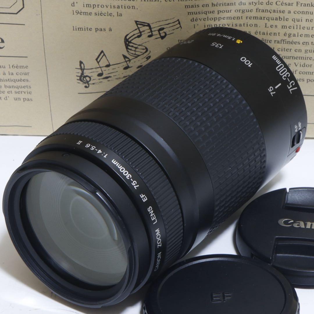 ◇ 大迫力300mm超望遠 ◇Canon純正 75-300mm II型 ◇ - メルカリ
