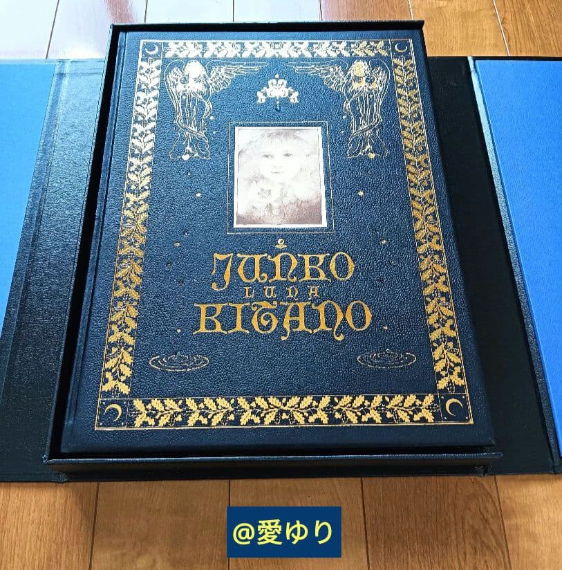 特大♢豪華限定♢羊革装版『きたのじゅんこ自選画集』天然宝石15石