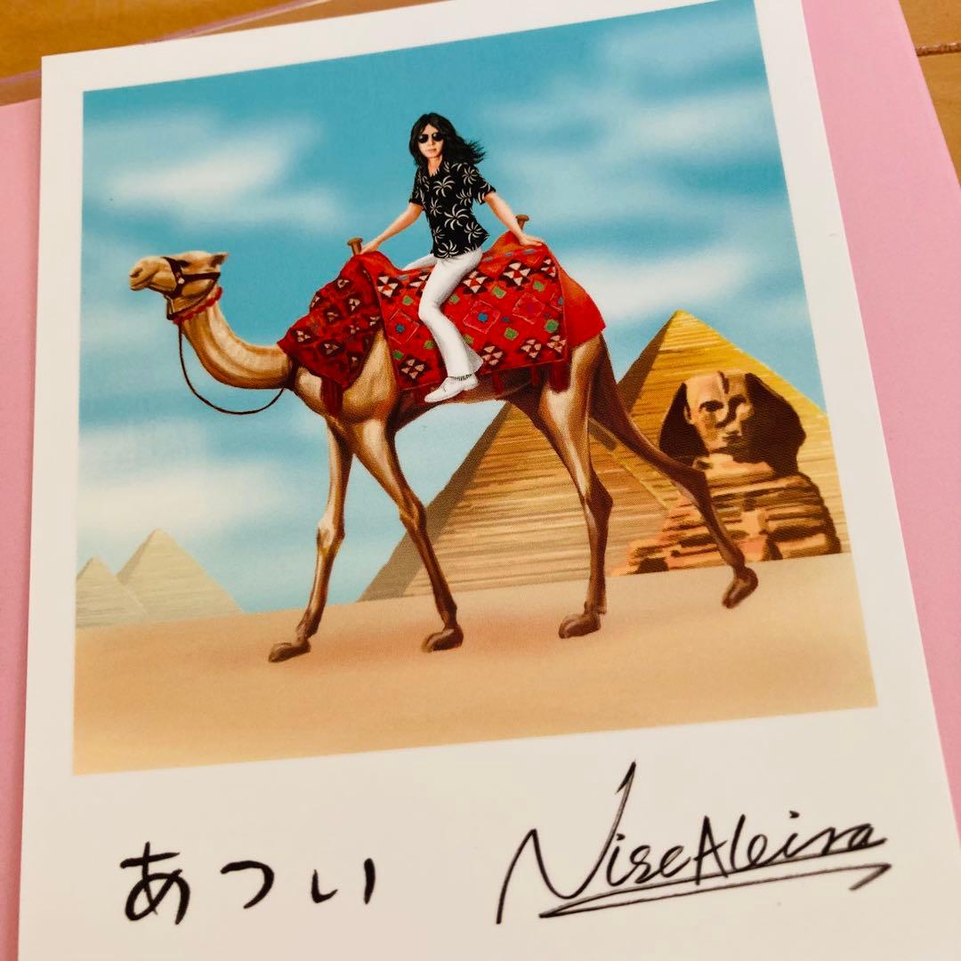 ☆初回限定盤☆ 星野源 DVD Continues コンティニューズ ニセ明付き