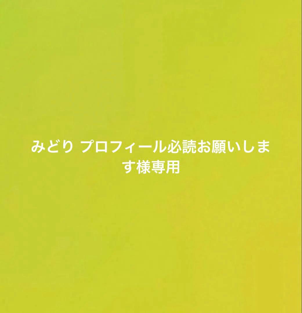 みどり プロフィール必読お願いします みどり プロフィール必読お願いします様専用の通販｜www.reigneleven.com