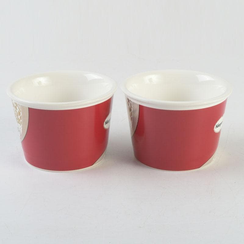 ハーゲンダッツ スーパープレミアムクラブ カップ＆スプーン C 9364