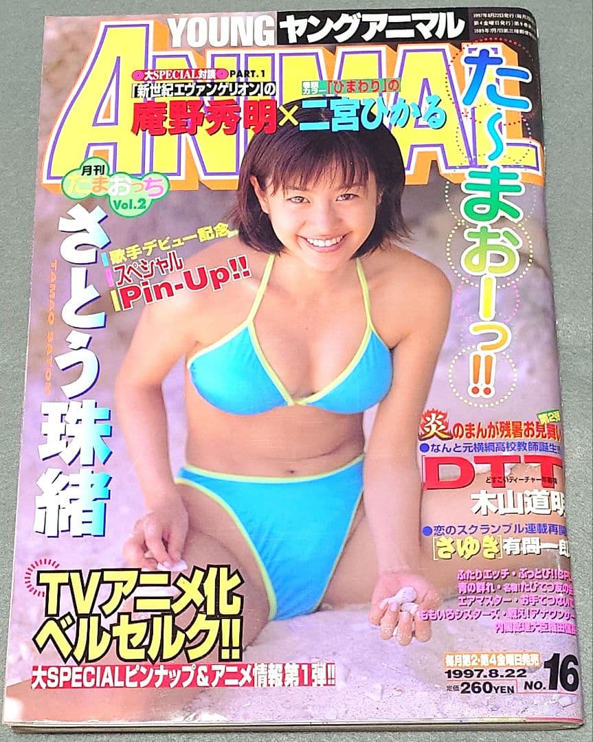 ヤングアニマル1997年16号/ベルセルクさとう珠緒ピンナップポスター付