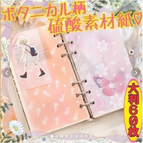 みどちゃんです