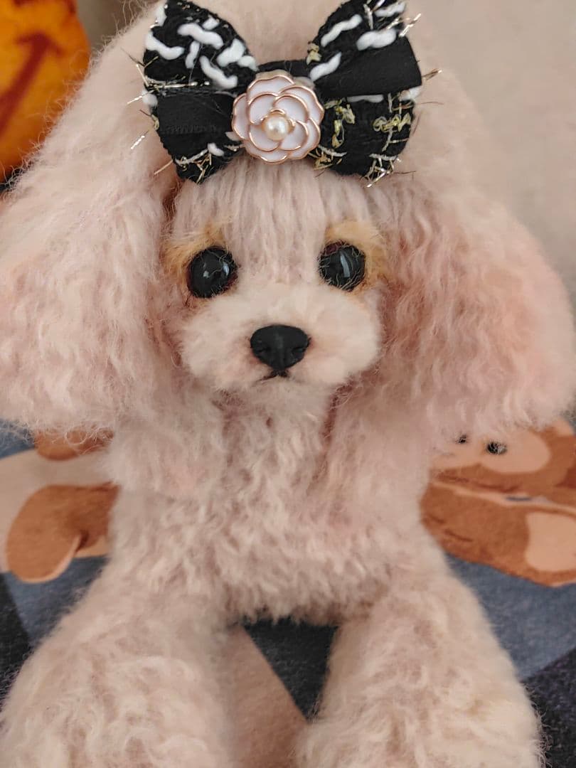 里親様募集♡送料込み。アプリコットちゃん。トップノット。 1727197.jpg