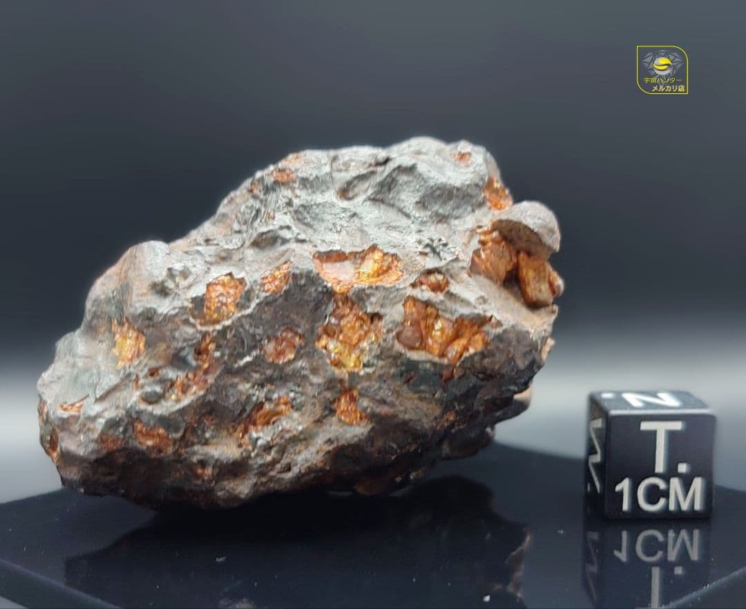 隕石 イミラック パラサイト 126.4g Imilac ⭐⭐⭐