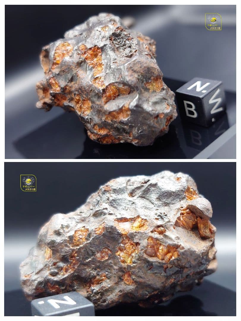 隕石 イミラック パラサイト 126.4g Imilac ⭐⭐⭐