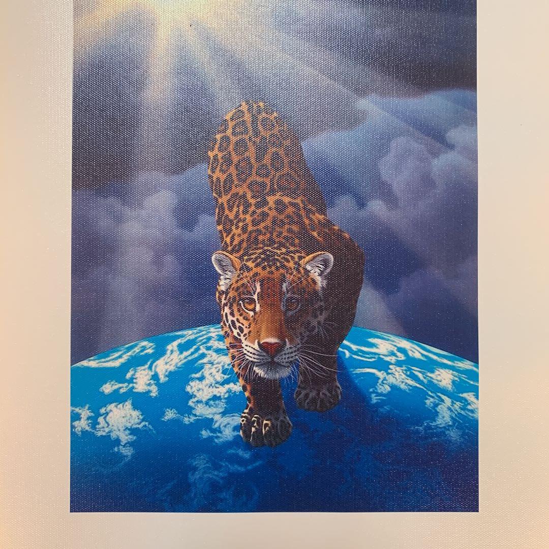 シム シメール ヘブンアンドアース - メルカリ