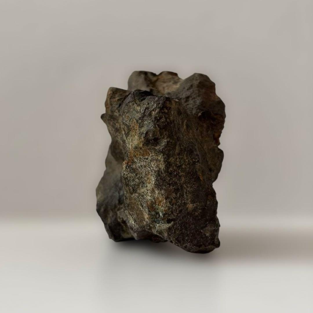 天然石 サバ菊石 約523g 鉱物 鑑賞石 - メルカリ