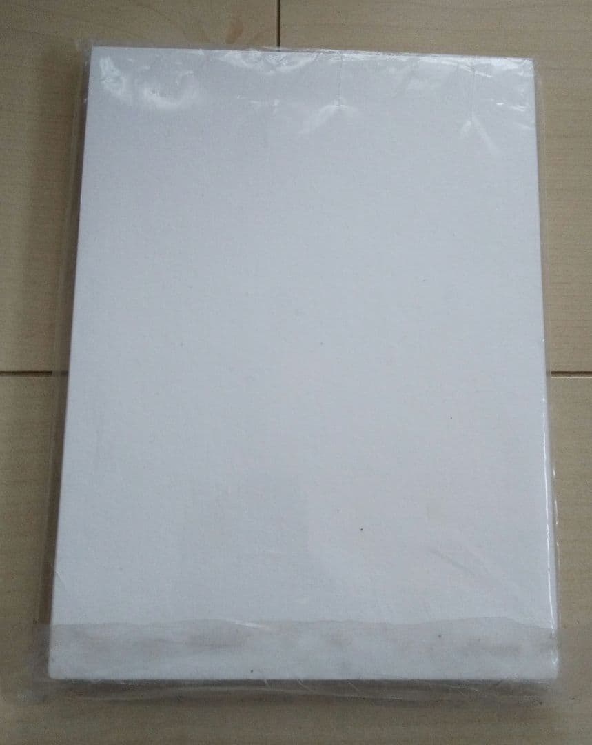 女王蜂 / 白兵戦 DVD 初回生産限定