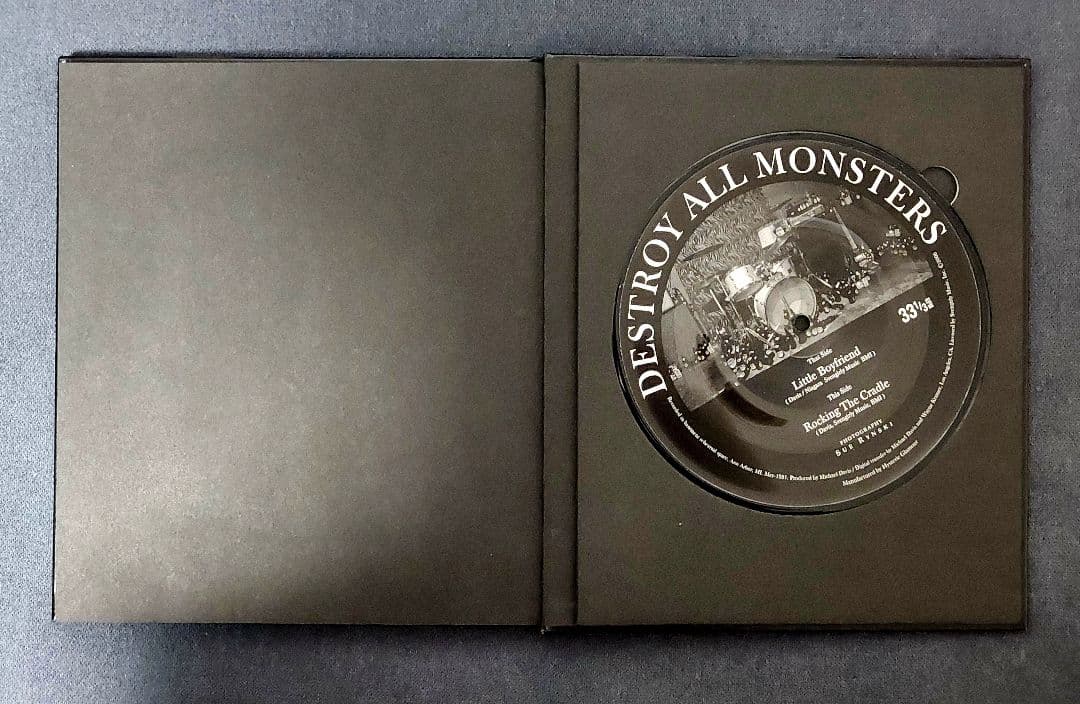 SUE RYNSKI 写真集 600部限定 ヒステリックグラマー レコード付き