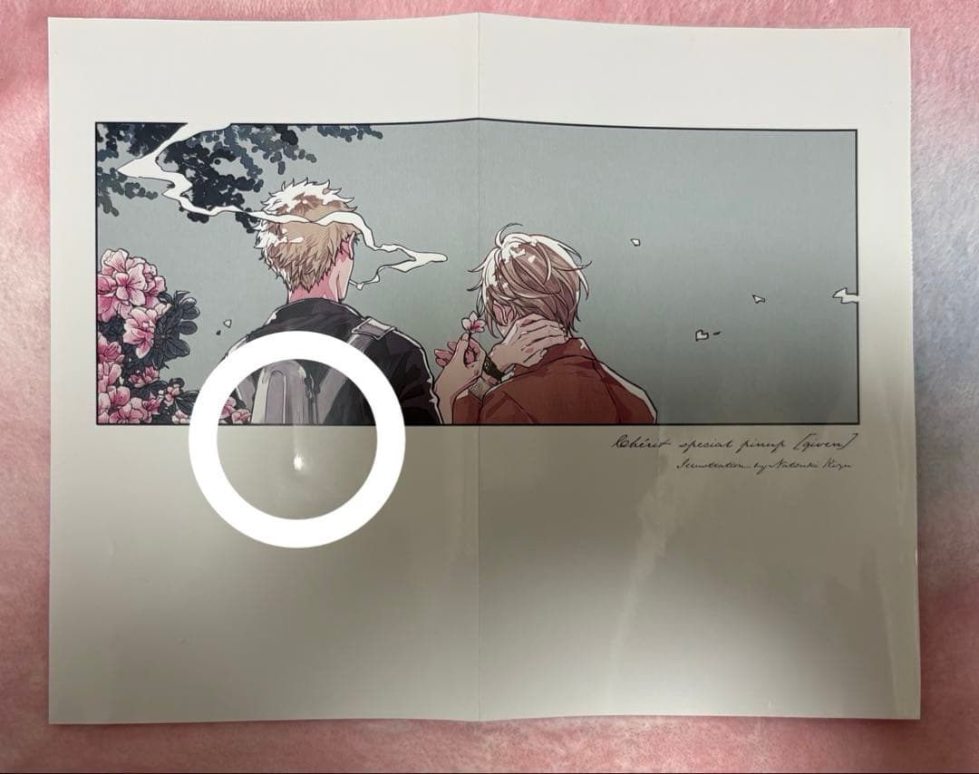 Cheri+ シェリプラス 切り抜き ピンナップ キヅナツキ ギヴン - メルカリ