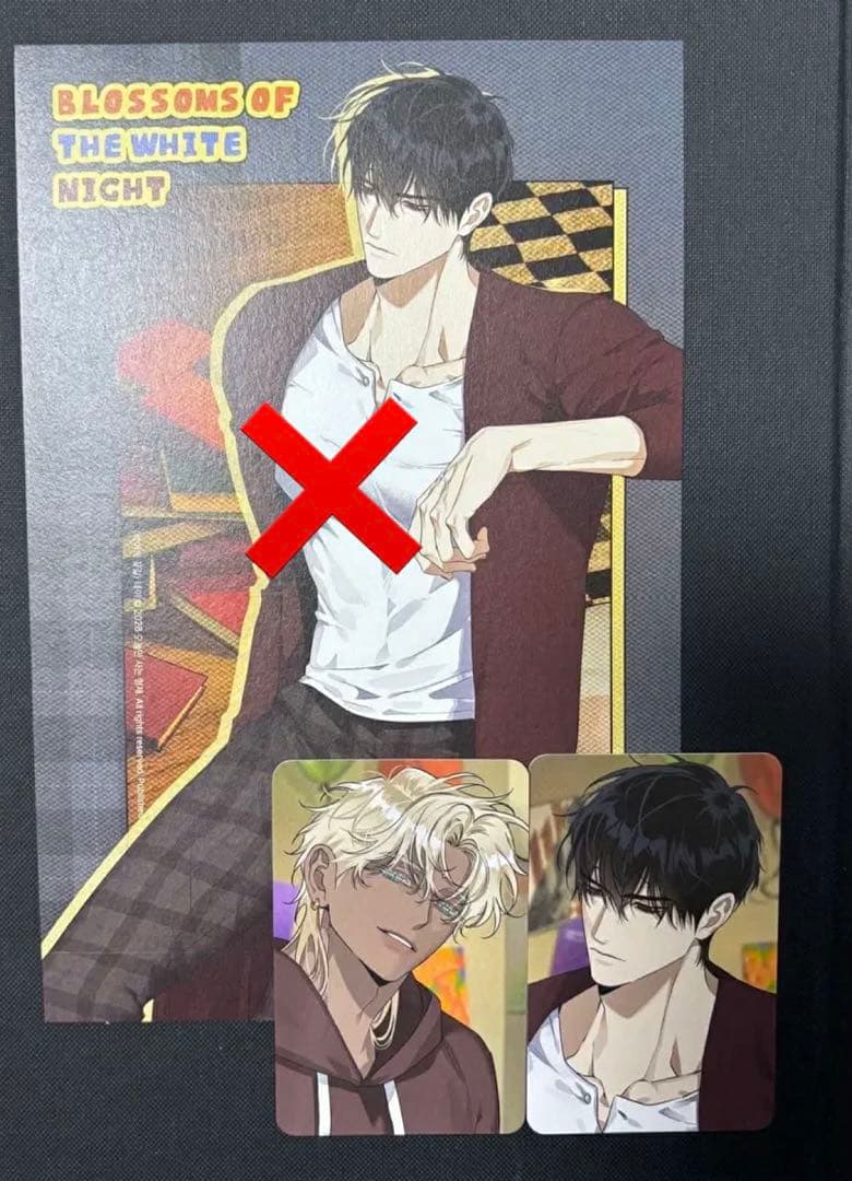 韓国BL 2026 BOMTOON 白夜の花道 シーズングリーティング - メルカリ