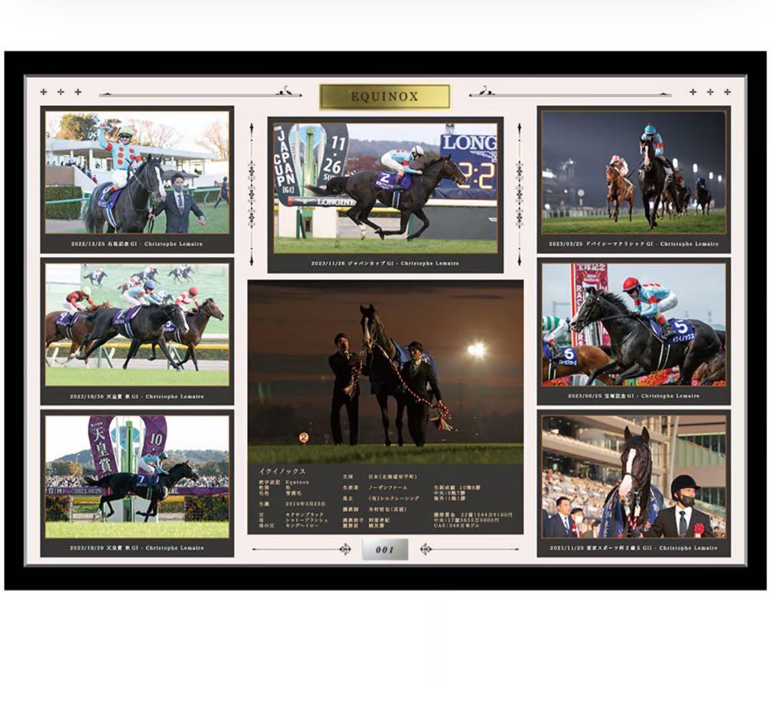 200個限定 イクイノックス 引退記念写真デザインパネル シリアル