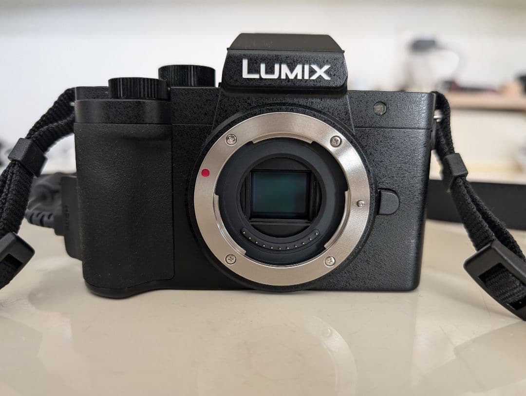 Panasonic LUMIX デジタルカメラDC-G100D ダブルフレーム 概要 デジタル一眼カメラ/レンズキット DC-G100DW | LUMIX（ルミックス