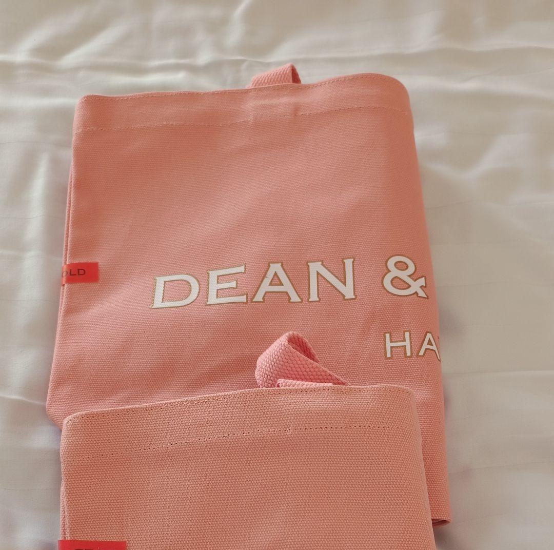 新品未使用DEAN & DELUCA リニューアル限定色　L（大） A LIMITED COLOR OF THE YEAR 2024 MINT GREEN - DEAN & DELUCA HAWAII