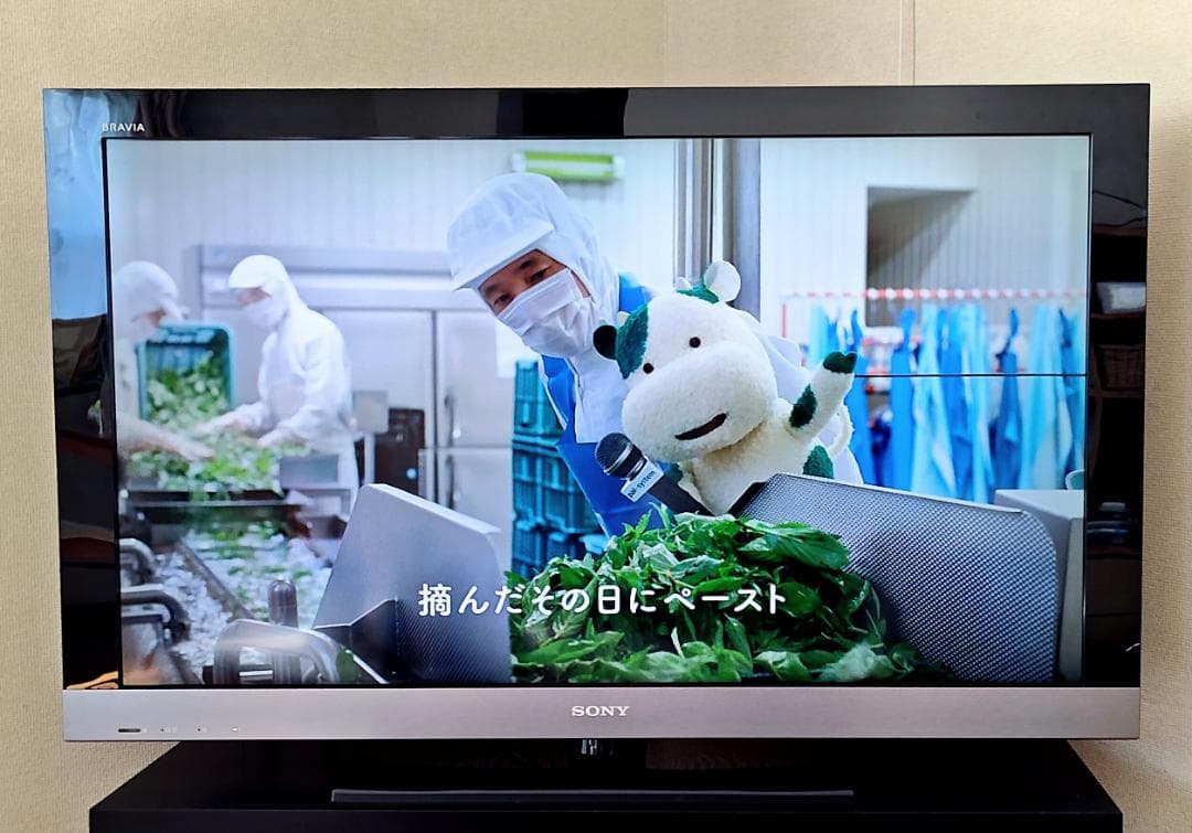 送料込み】ソニー 液晶テレビ BRAVIA KDL-40EX500 40インチ - メルカリ