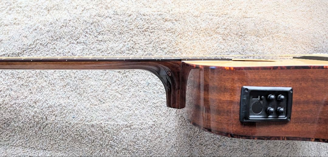 トップ単板美品☆アンプ不要！リバーブやコーラスがかかる