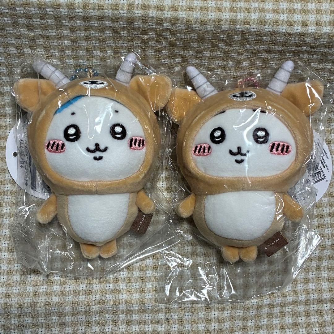 マスコット 2026年1月24日 カプセル楽局 早稲田駅前店 ✨新入荷情報