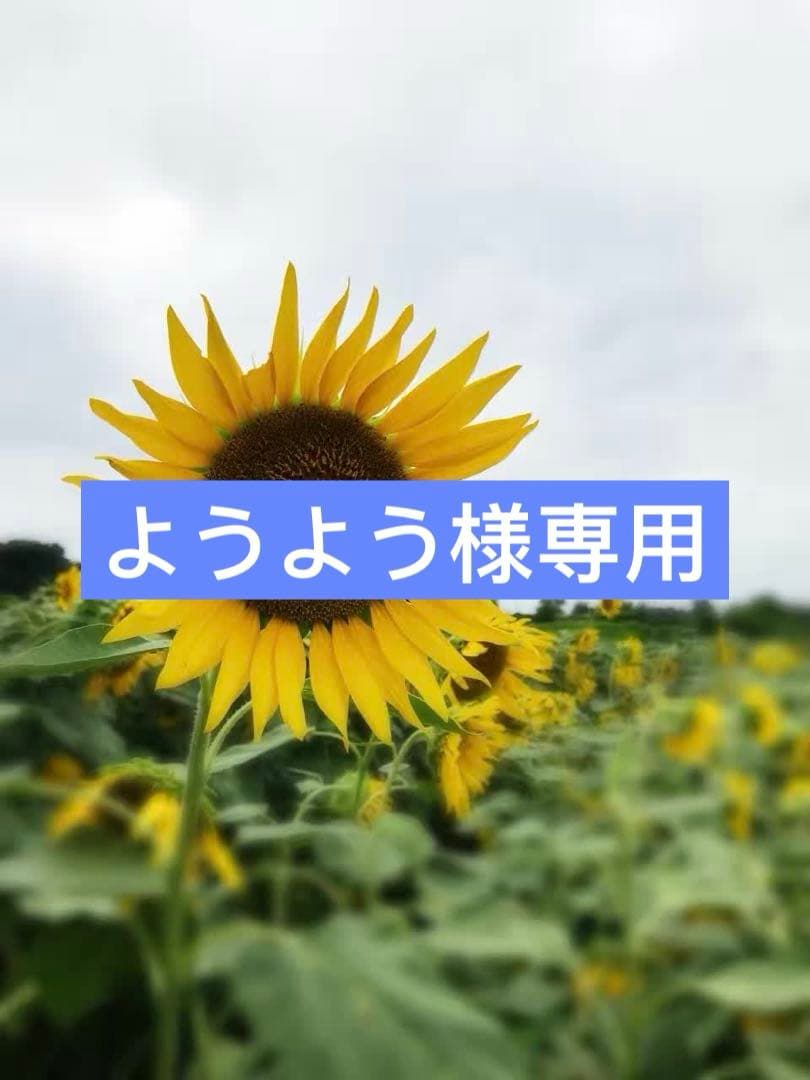 英語絵本31冊 絵文字付き やさしく読める！はじめての名作文学シリーズ Oliver Twist