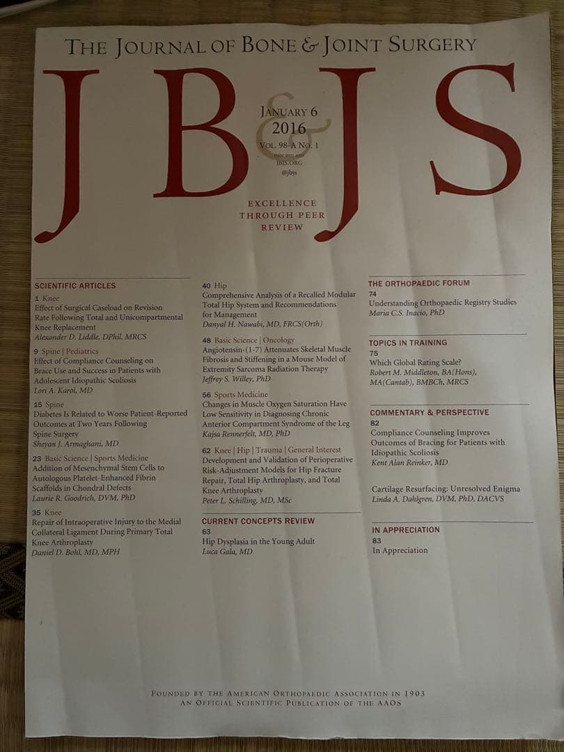 雑誌 JB & JS 2016年度 計17冊分 裁断済