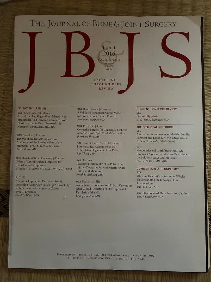雑誌 JB & JS 2016年度 計17冊分 裁断済