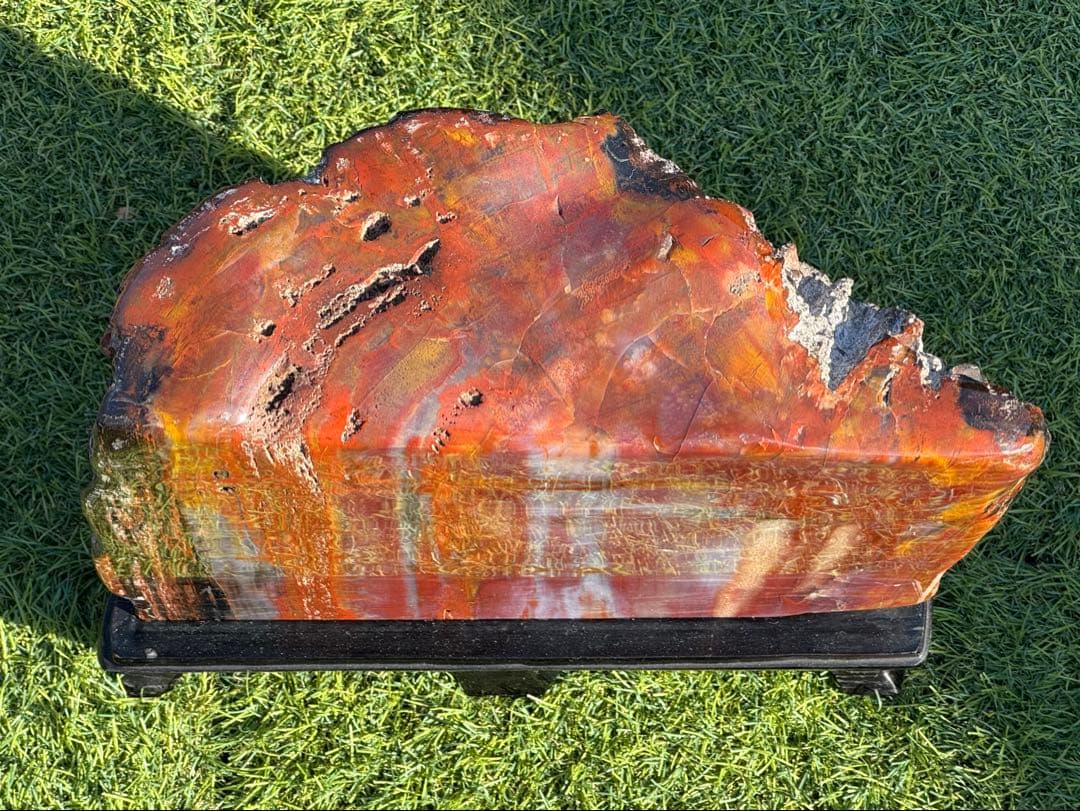 珪化木 木化石 鑑賞石 天然石 水晶 色石 赤石 赤玉石 アリゾナ珪化木