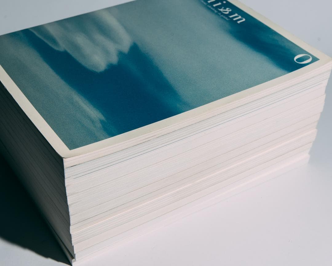 ヒニスム hinism vol.0-11　12冊セット