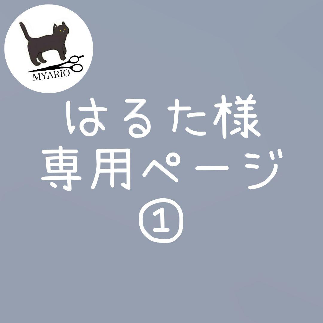 お見積もり専用ページ(#449-1) 見積書の出力項目（表紙タイプ1） | 活用TIPS | AnyONE活用支援サイト
