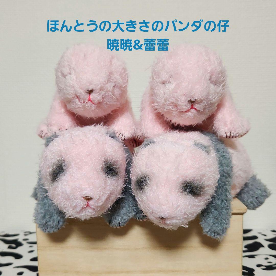 上野動物園 ほんとうの大きさのパンダの仔 シャオシャオ レイレイ