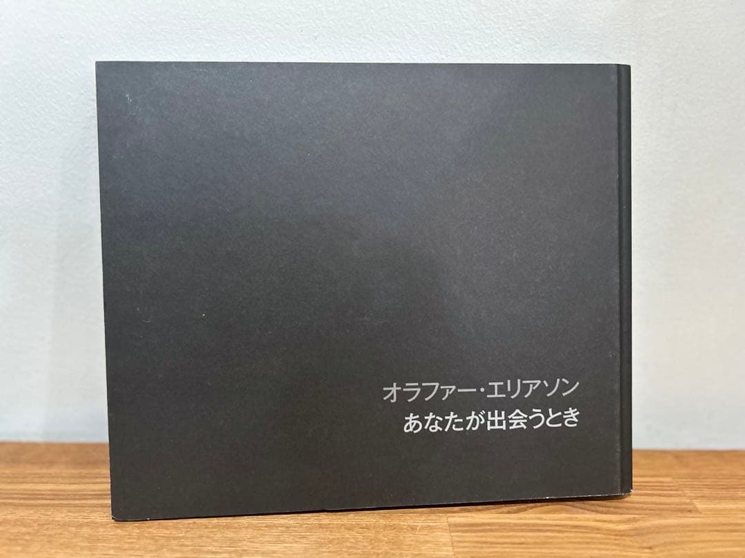 希少 あなたが出会うとき オラファー・エリアソン 金沢21世紀美術館
