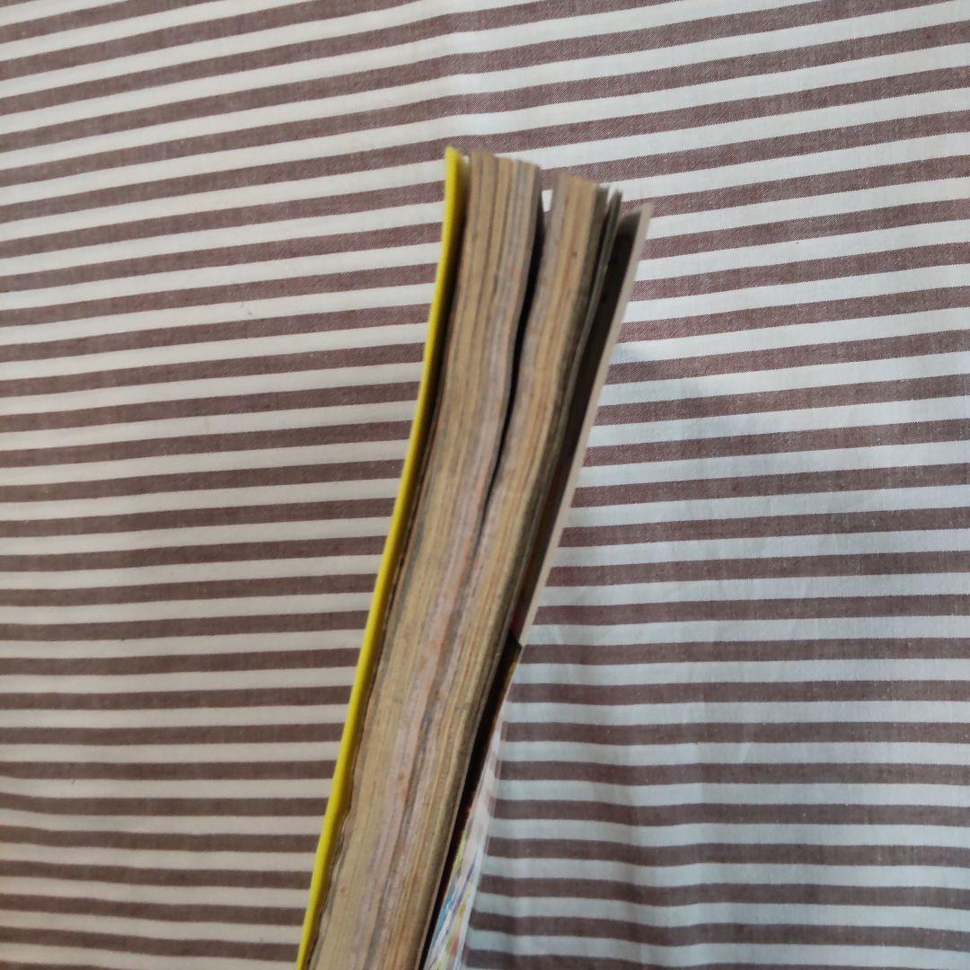 YOUNG ANIMAL No.18 1996年 ベルセルク ヤングアニマル - メルカリ