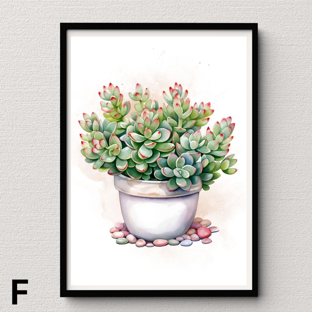 SWC19】多肉植物 水彩画 アガベ サボテン ポスター Succulent - メルカリ