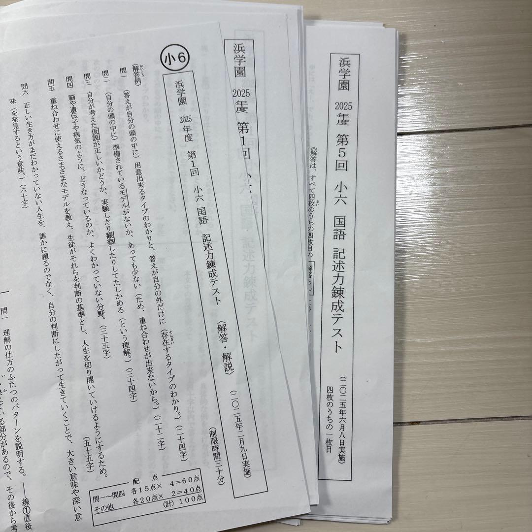 小6浜学園公開学力テスト2025年一年分 4科➕記述力錬成 二つの得点分布