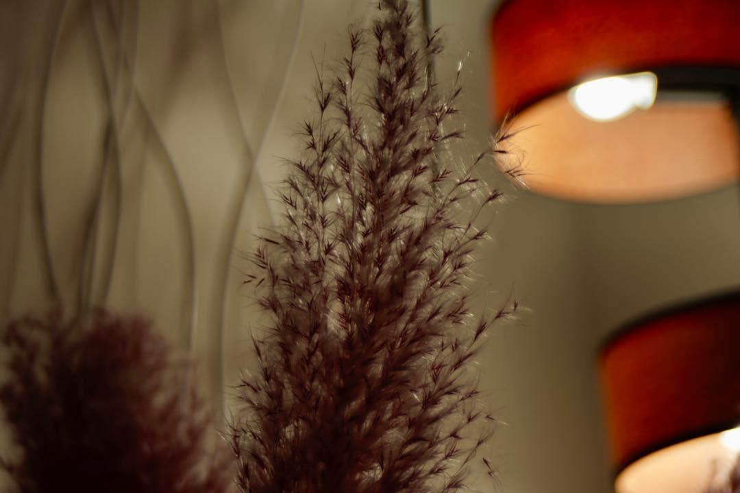 Tokina AF 28-70 f2.8-4.5 MACRO レンズ