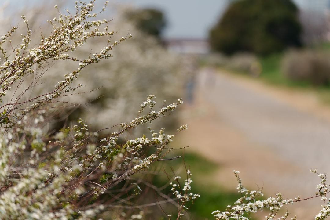新品同様！超望遠ズーム！TAMRON 70-300mm F4.5-6.3