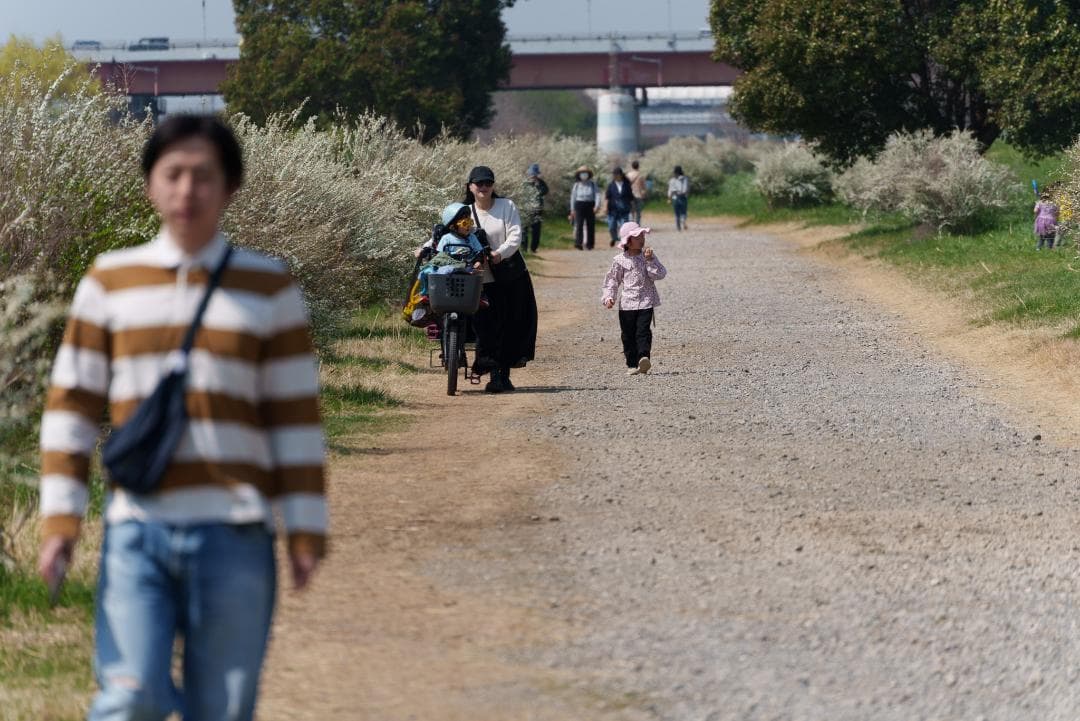 新品同様！超望遠ズーム！TAMRON 70-300mm F4.5-6.3