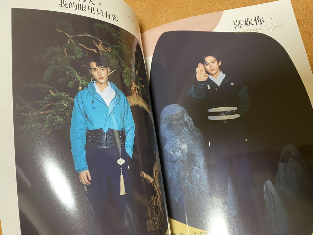 山河令 ゴンジュン・張哲瀚 BAZAAR 写真集 - メルカリ