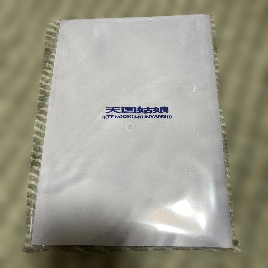 天国姑娘 Being Polite (In a Mean Way) 廃盤CD